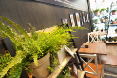 trksystem.com-Przystanek-Piekarnia-Krucza-4-kopia