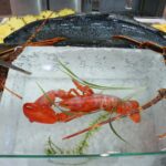 Ekspozycja owoców morza na lodzie w Stoisku targowym Makro Polagra obejmuje całą rybę, kilka homarów i jaskrawoczerwonego, gotowanego homara w środku, wszystko przyozdobione ziołami i plasterkami cytryny. projekt i nadzór Tatjana Kobuszewska trksystem.com