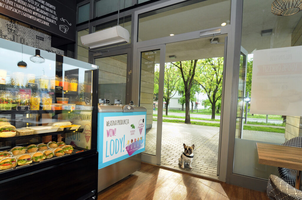 Mały pies siedzi przy otwartych szklanych drzwiach Przystanku Piekarnia na Służewcu, nowoczesnego wnętrza piekarni zaprojektowanego przez Tatjanę Kobuszewską z trksystem.com. Drewniane podłogi, lampy wiszące i zielone drzewa dopełniają całości. projekt i nadzór Tatjana Kobuszewska trksystem.com