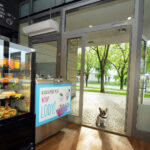 Mały pies siedzi przy otwartych szklanych drzwiach Przystanku Piekarnia na Służewcu, nowoczesnego wnętrza piekarni zaprojektowanego przez Tatjanę Kobuszewską z trksystem.com. Drewniane podłogi, lampy wiszące i zielone drzewa dopełniają całości. projekt i nadzór Tatjana Kobuszewska trksystem.com