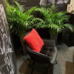 Czarne wyściełane krzesło z czerwoną poduszką stoi na szarym dywanie przed trzema bujnymi zielonymi roślinami doniczkowymi. Tło stanowi ciemna ściana z białym tekstem i diagramami, nadając przestrzeni nowoczesny, profesjonalny wygląd. projekt i nadzór Tatjana Kobuszewska trksystem.com