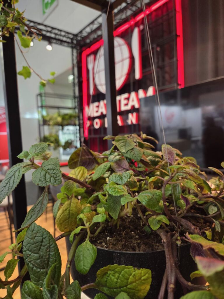 W pomieszczeniu widoczne jest zbliżenie rośliny doniczkowej o zielonych i fioletowych liściach. Na rozmyłym tle widnieje neonowy czerwony napis „MEAT TEAM POLAND” wraz z okrągłym logo; widać też nowoczesne meble — co oddaje współczesną atmosferę stoiska Meat Team na targach Anuga w Koeln Messe. projekt i nadzór Tatjana Kobuszewska