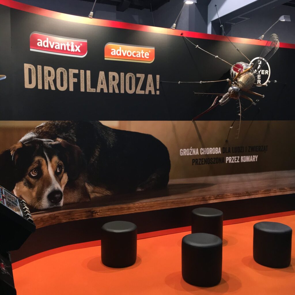Czarna ściana stoiska z hasłem Dirofilarioza, grafiką psa i modelem komara, przed nią pomarańczowa wykładzina i czarne pufy