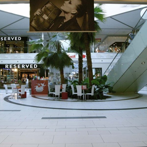 trksystem.com-sony-dsc-1172