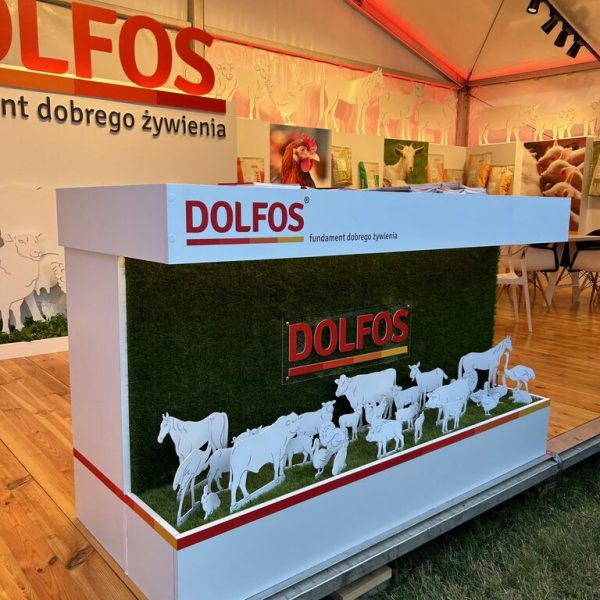 Stoisko reklamowe Stoisko reklamowe Dolfos z figurkami zwierząt, próbkami produktów i oznakowaniem z polskim tekstem o żywieniu, ustawione na drewnianej podłodze wewnątrz namiotu. projekt i nadzór Tatjana Kobuszewska trksystem.com